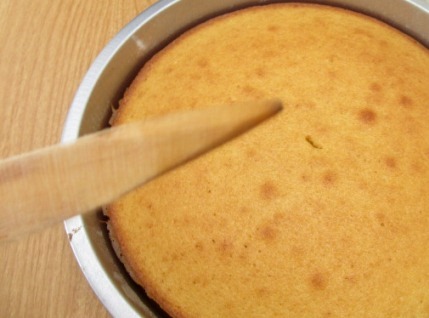 fresh-baked-vanilla-cake