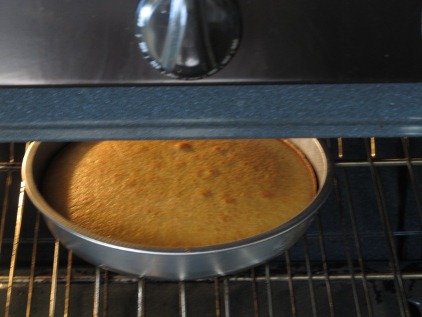 how-to-bake-vanilla-cakes