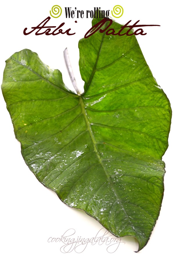 Arbi Leaves | Arvi Leaves | Arvi Patte | Arbi Pattae | Taro Leaves | Colocasia Leaves