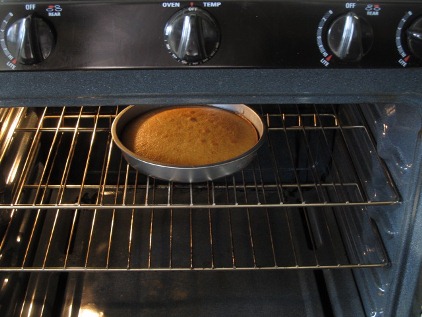 vanilla-sponge-cake